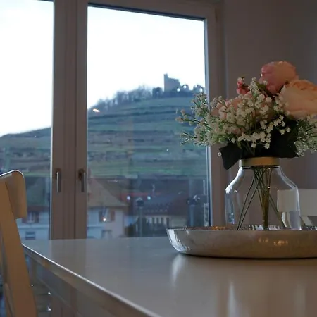 아파트 Penthouse Burgblick Mit Dachterrasse